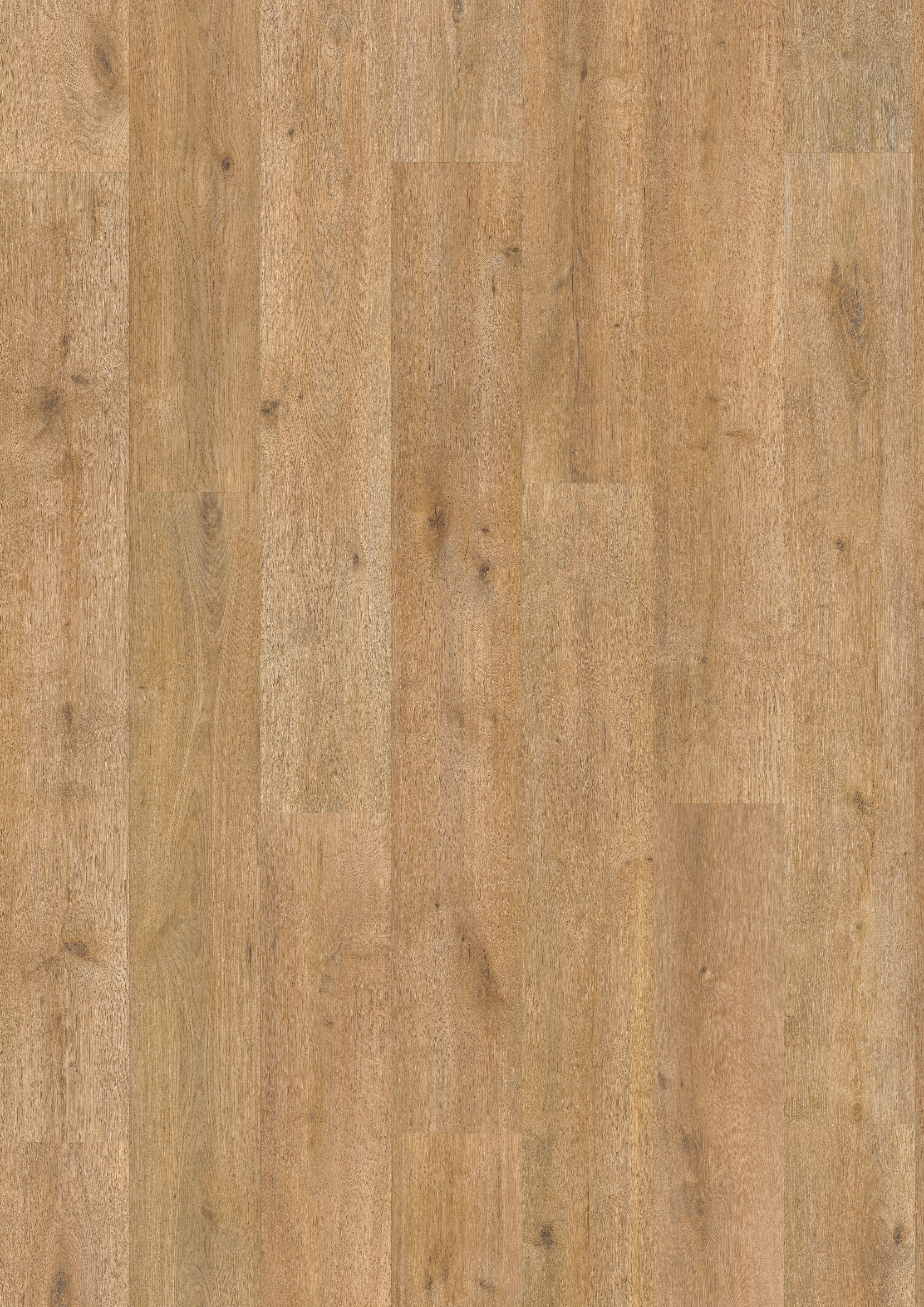 Finfloor XL Durable AC6/33 Roble Vera Homenaje Roble Vera Homenaje-4