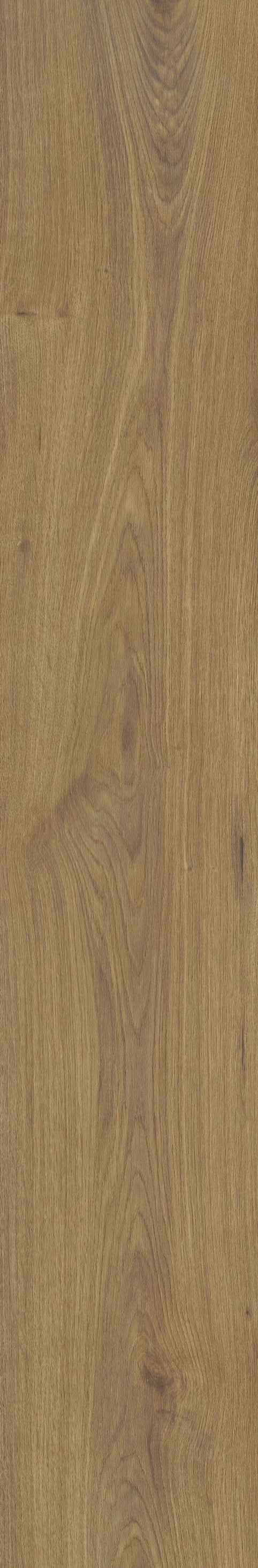 Finfloor XL Durable AC6/33 Roble Vera Legado Roble Vera Legado-3