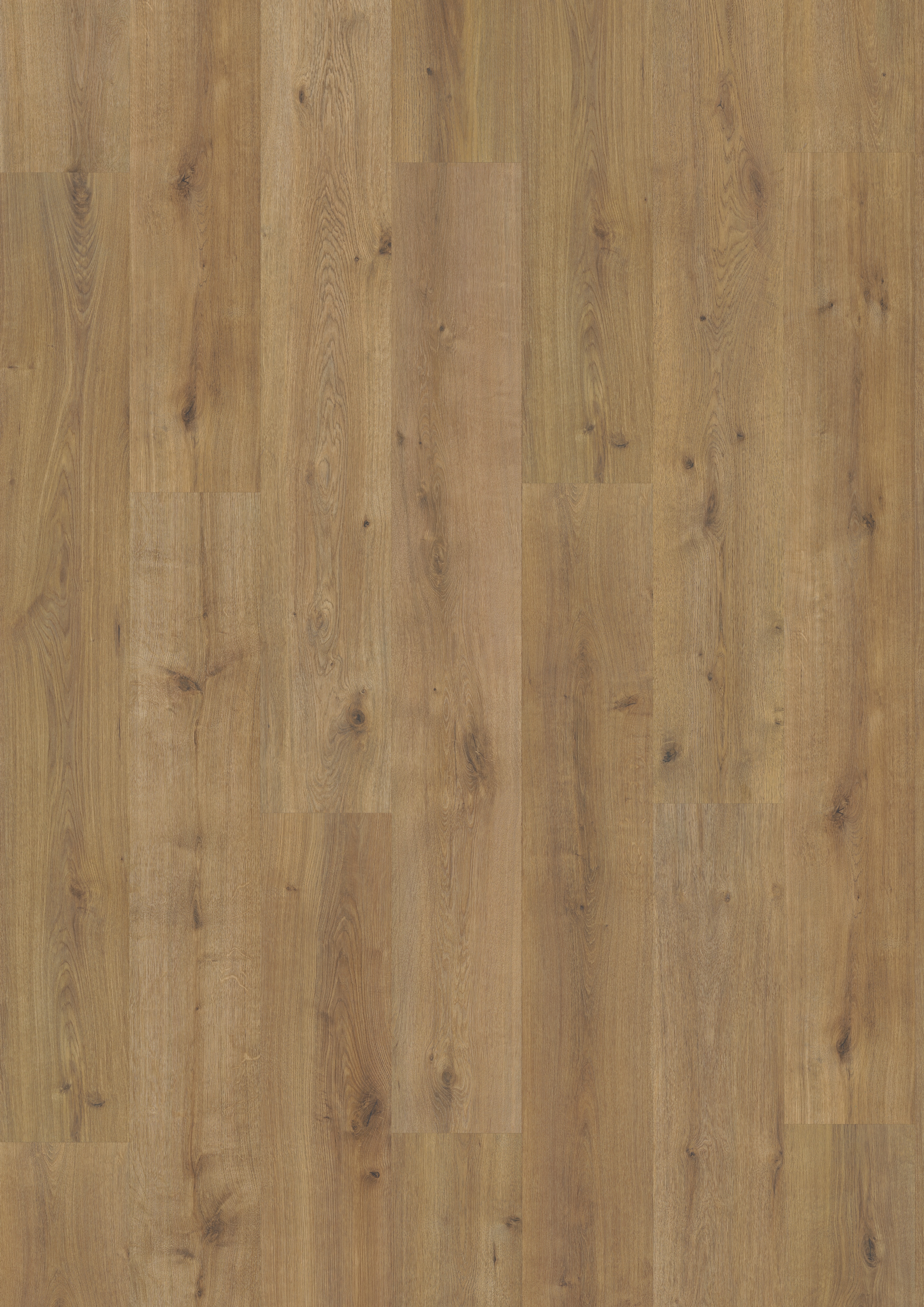 Finfloor XL Durable AC6/33 Roble Vera Legado Roble Vera Legado-4