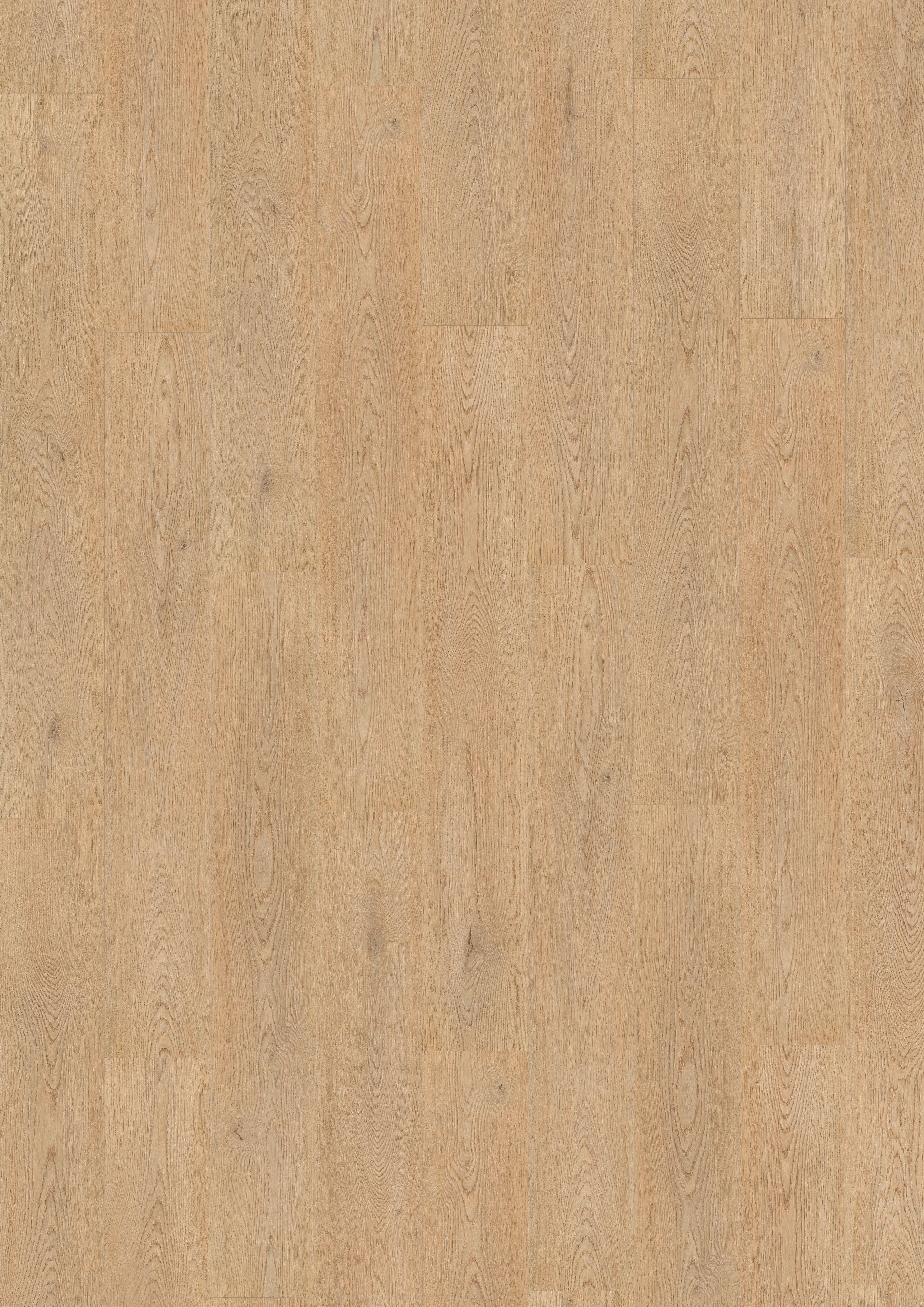 Finfloor 12 Durable AC6/33 Roble Fado Gavia Roble Fado Gavia-4