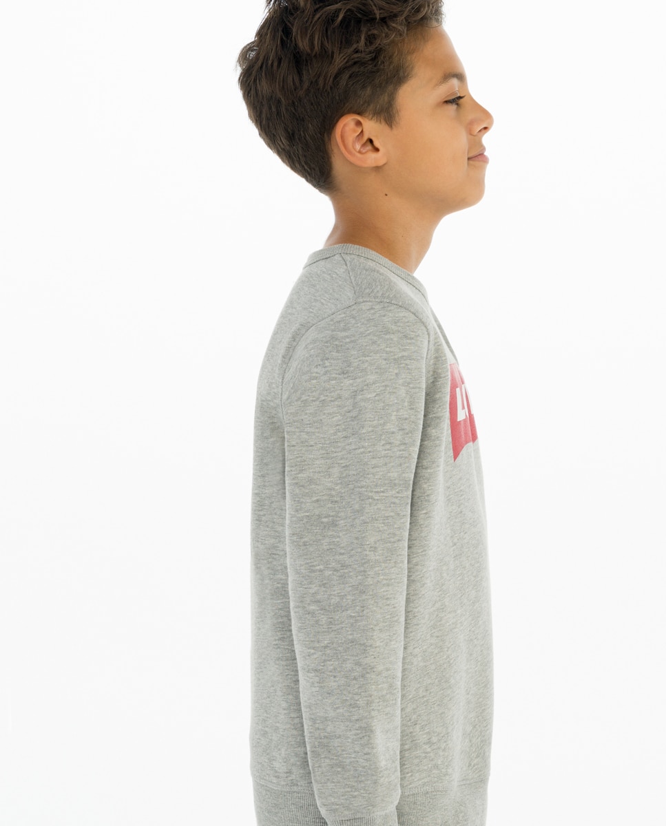 Sweatshirt cinzento vigoré de bebé Levi's Cinzento-4