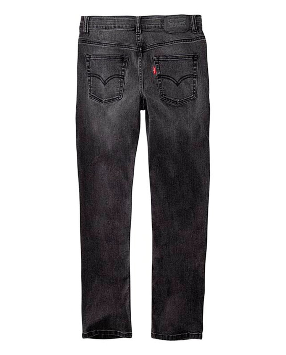 Jeans com 5 Bolsos Levi's Cinzento-2