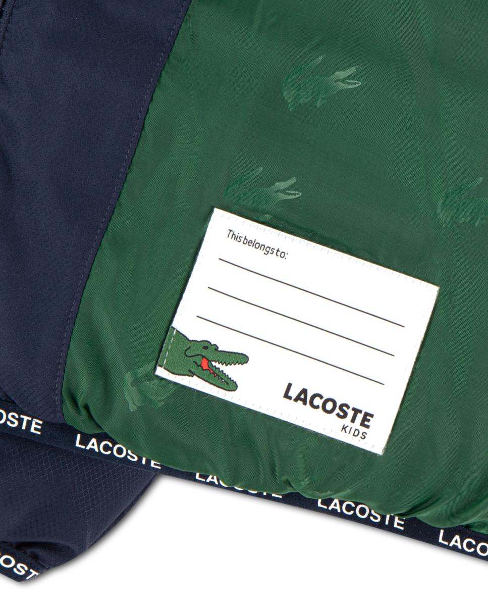 Casaco Acolchoado de Peso Médio Lacoste Verde-3