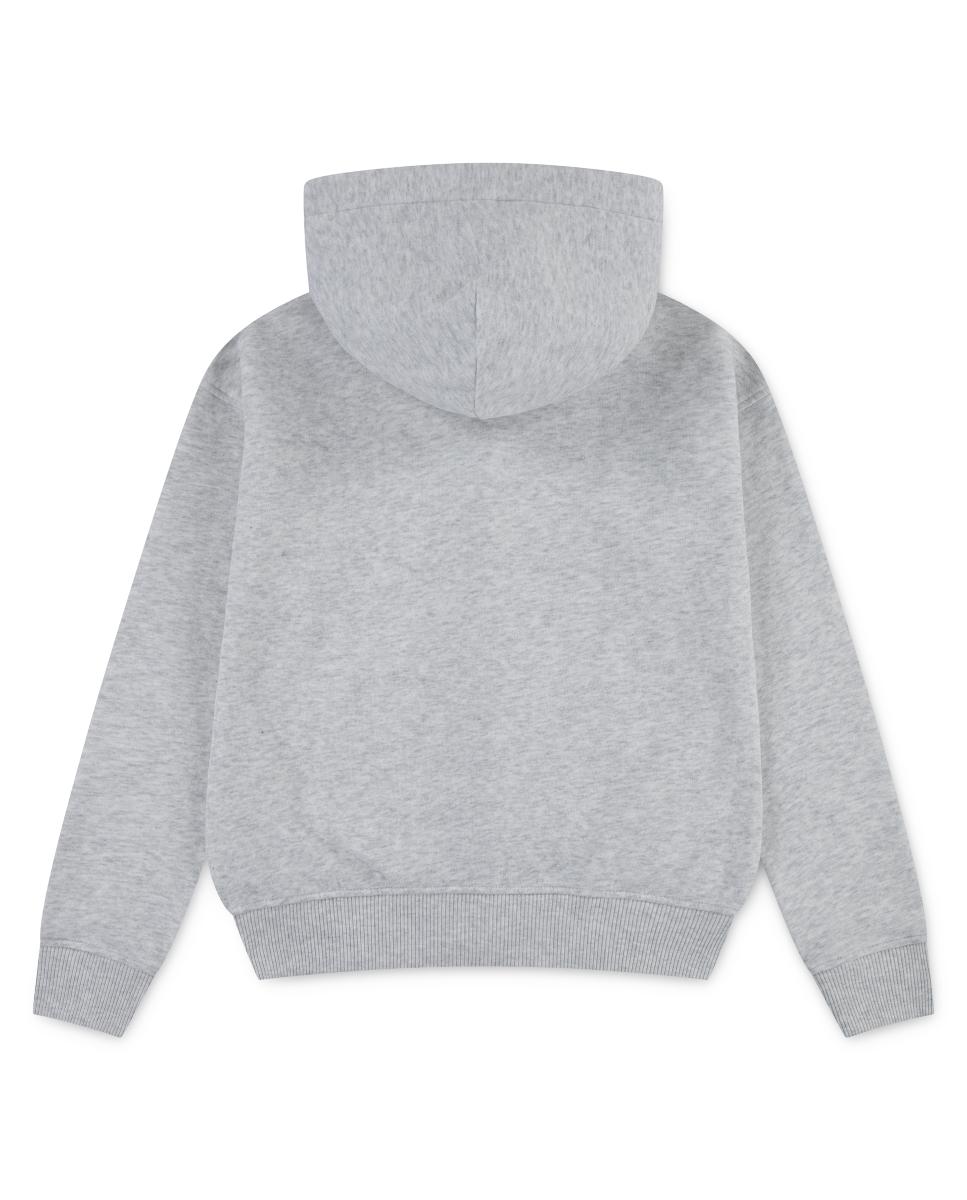 Sweatshirt com Capuz e Fecho de Correr Completo Kids Essentials Abercrombie Kids Cinzento-2