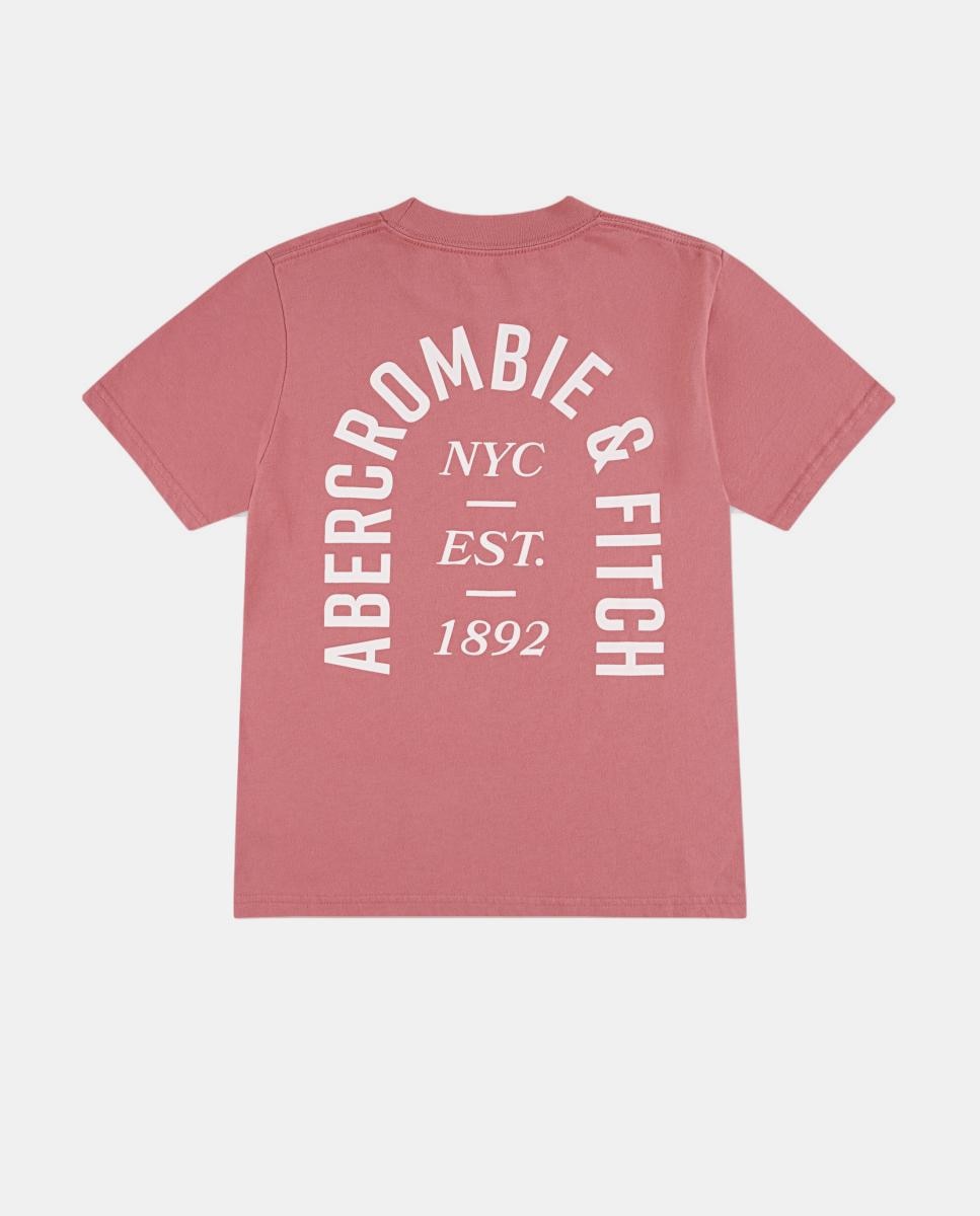 T-shirt com Logótipo NYC Est. 1892 Abercrombie Kids Rosa-2