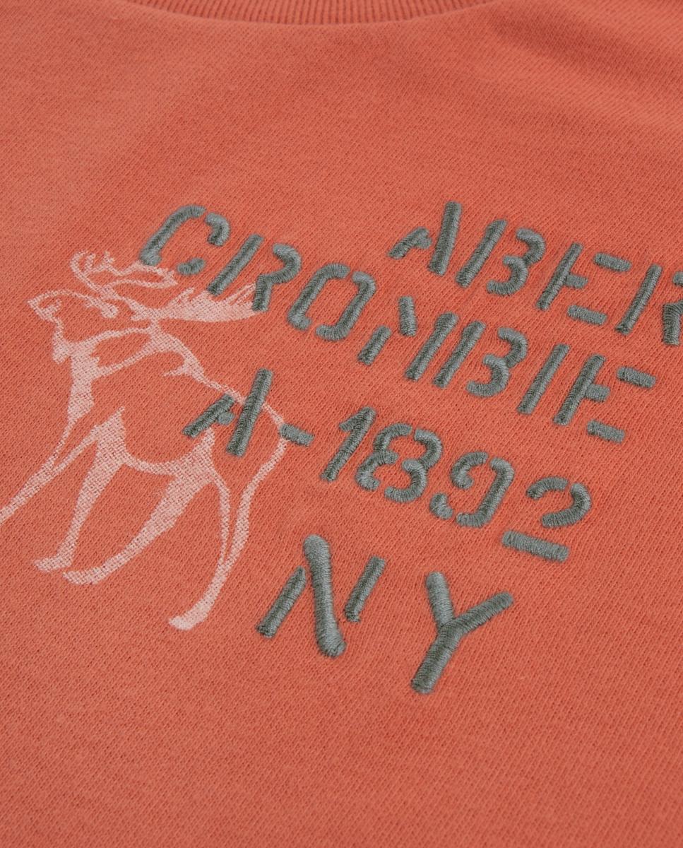 T-shirt Retro de Alce de Criança Abercrombie Kids Laranja-3