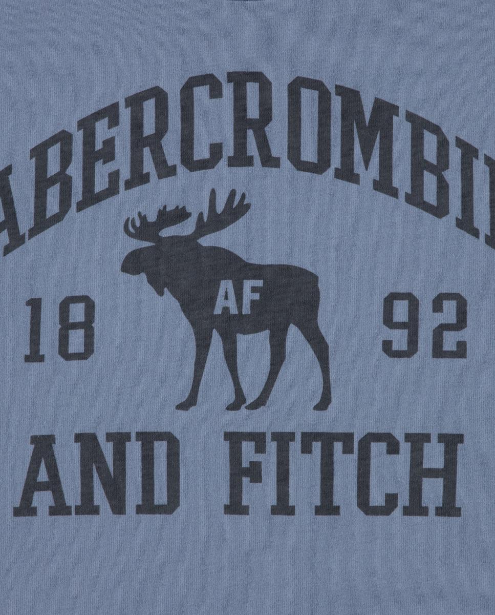 T-shirt Moose Lockup de Criança Abercrombie Kids Cinzento-3