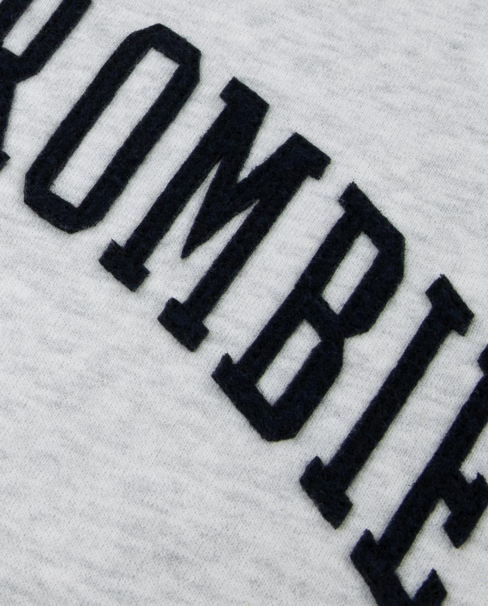 Sudadera con capucha y cremallera completa con el logotipo de Abercrombie Kids - Gris Gris-3