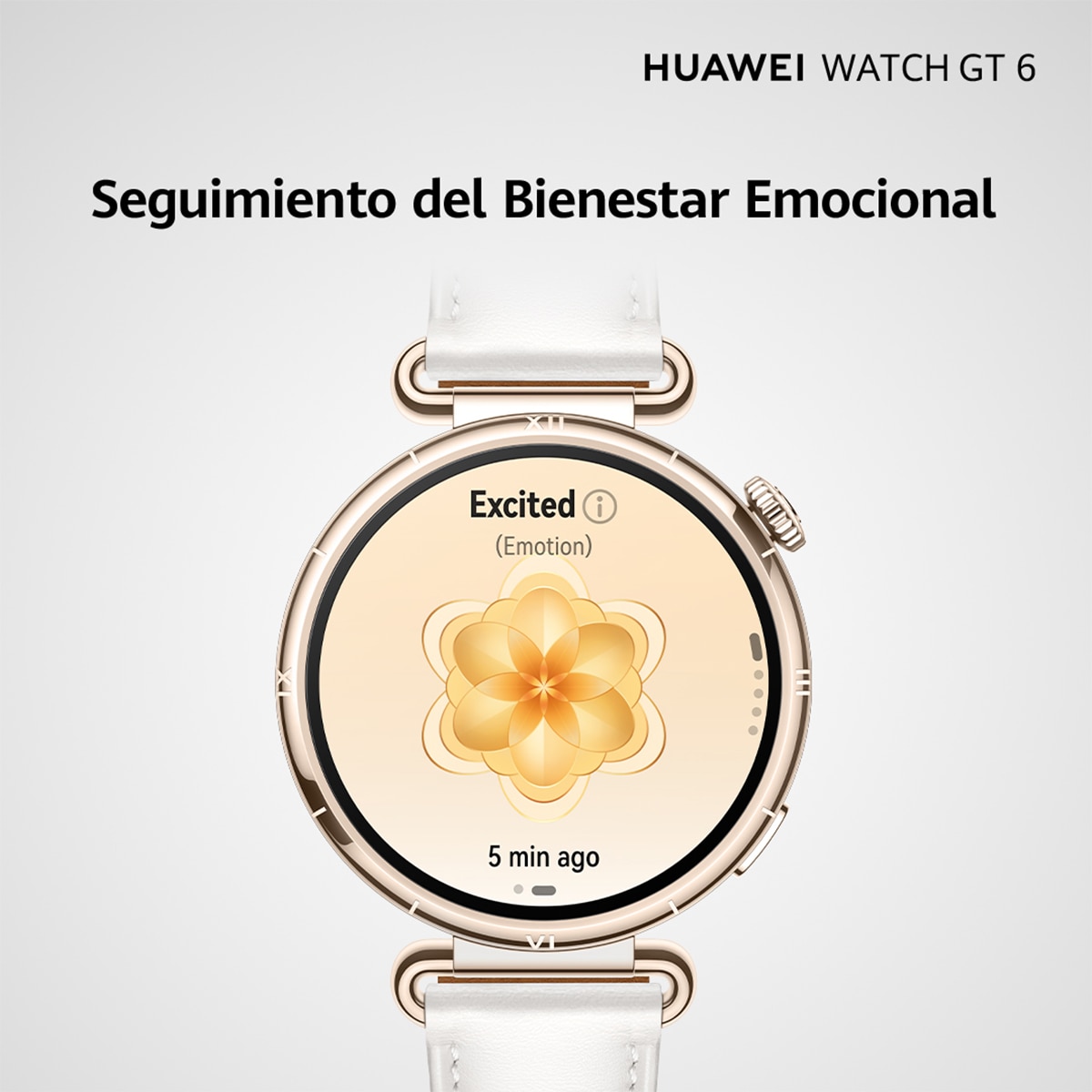 Huawei Watch GT 6 46mm correa caucho negra Smartwatch Negro-9