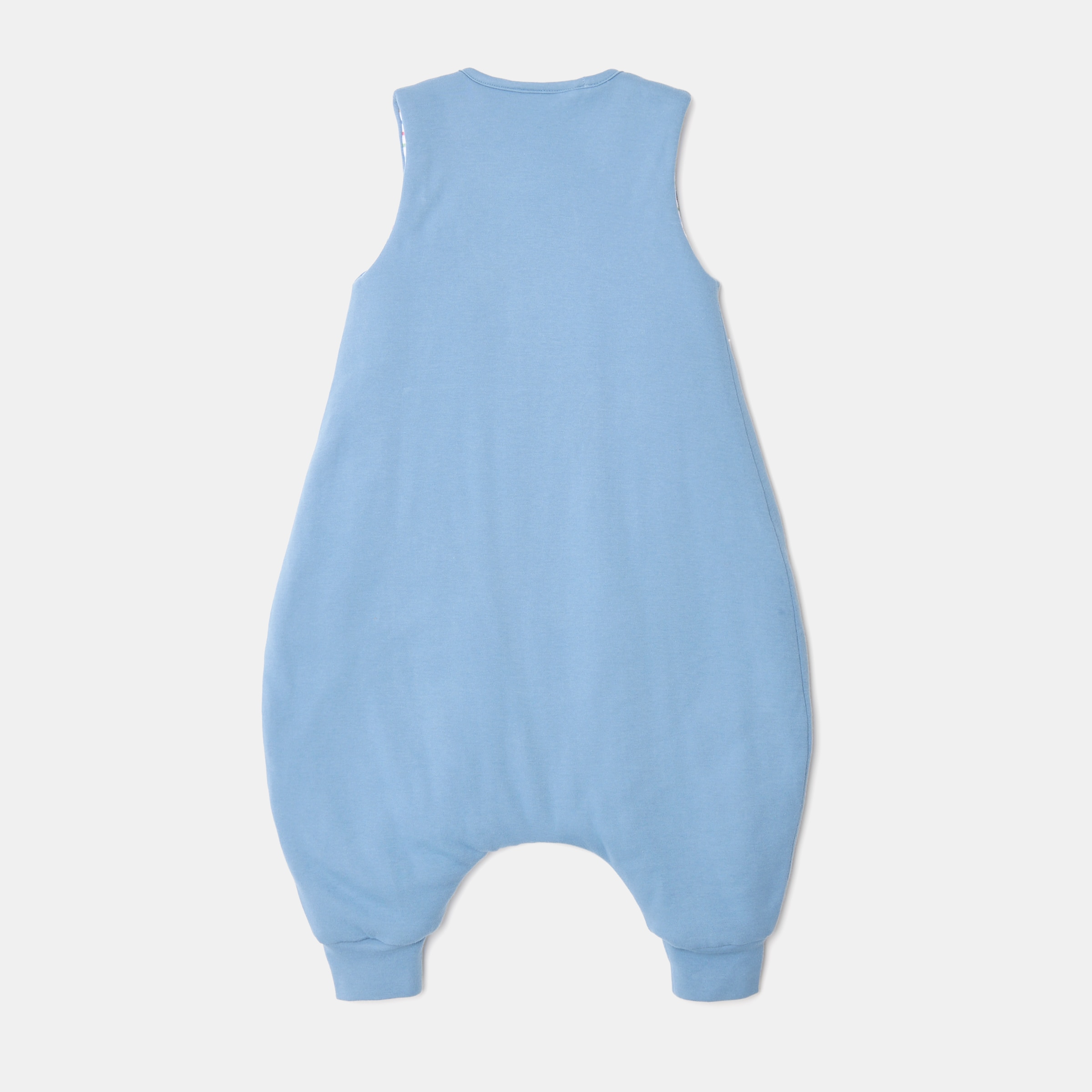 Manta Pijama Fresh Coleção Little Bugs, Urso Tog 1.0 Azul Electric-2