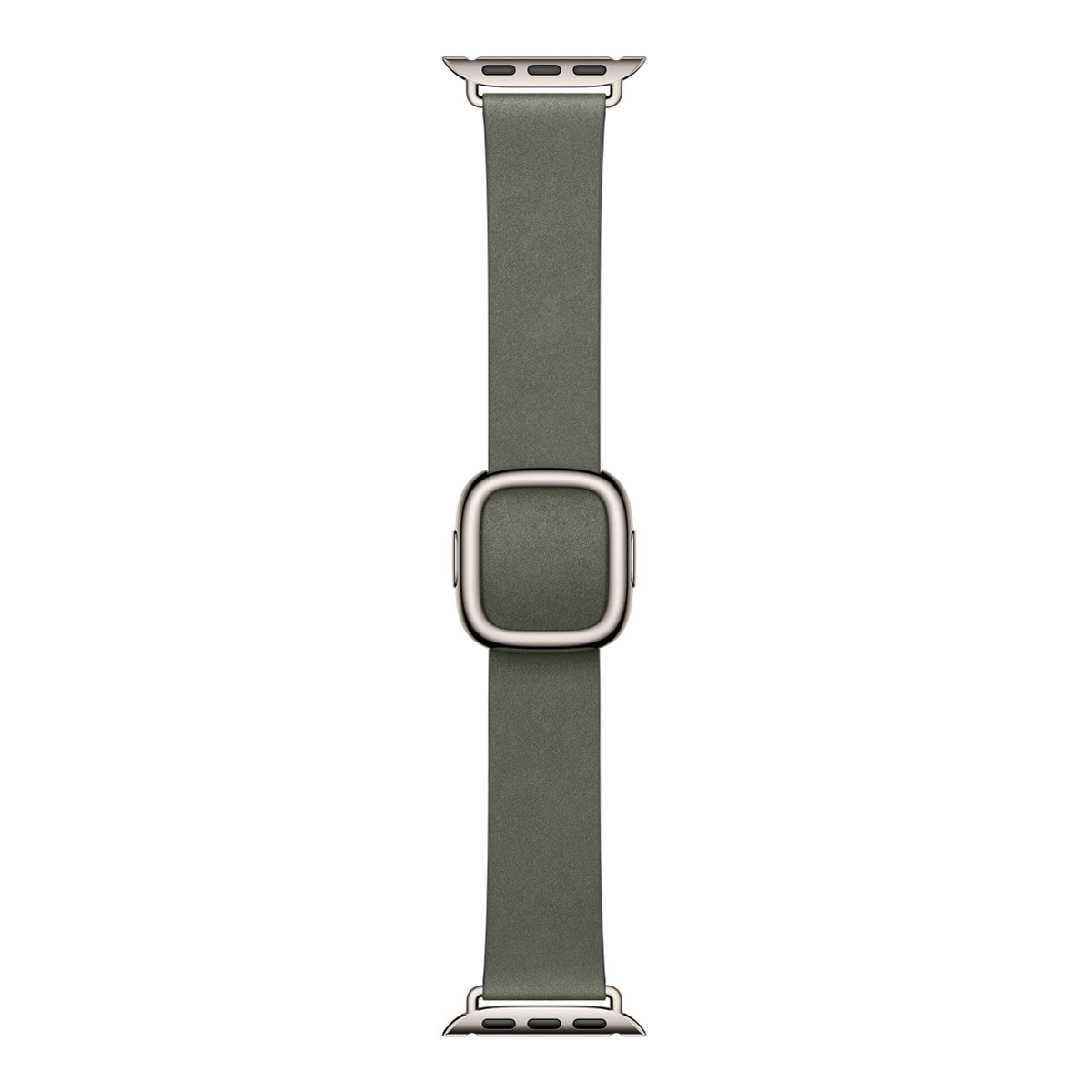 Imagen 0 de Correa con hebilla moderna 42mm en color Gris salvia Talla S