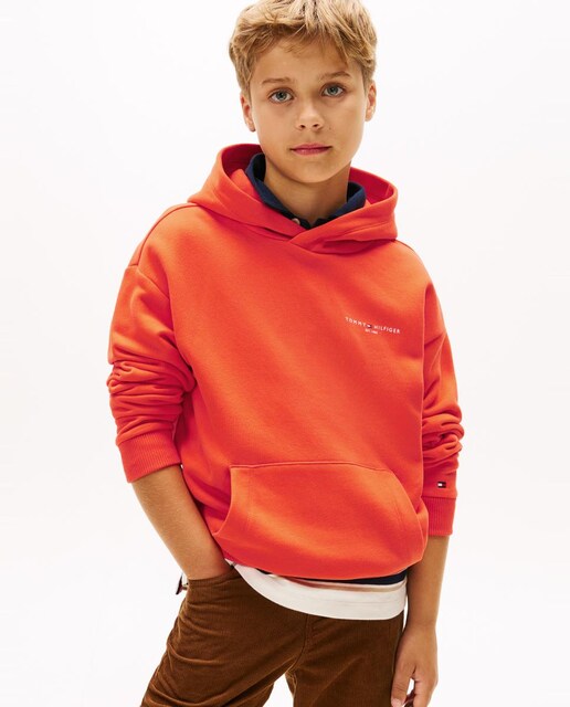 Imagem 0 de Sweatshirt com Capuz e Logótipo da Marca no Peito