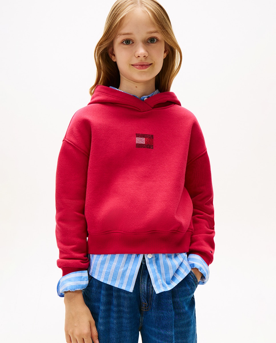 Imagem 0 de Sweatshirt com Capuz e Logótipo de Pedraria à Frente