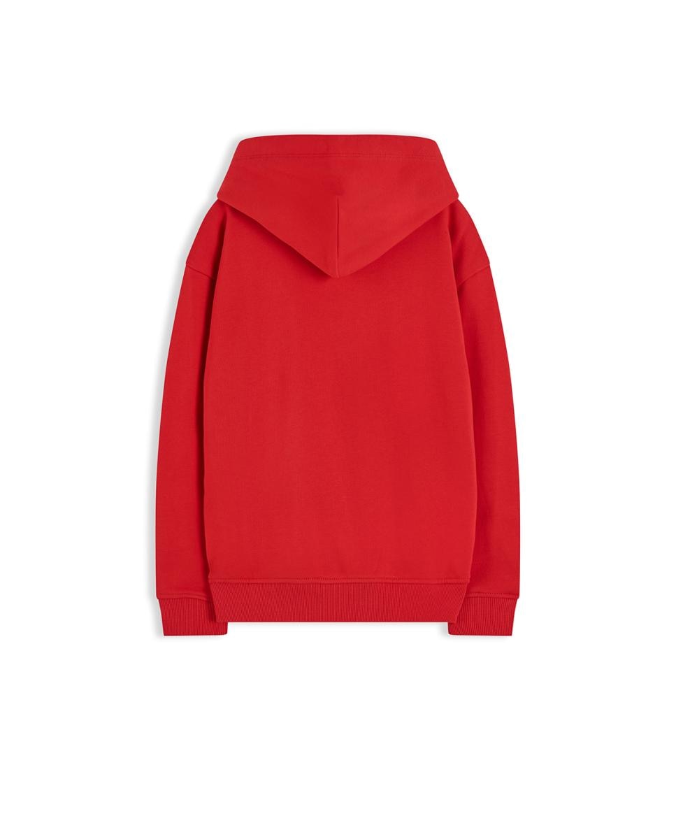 Sweatshirt com capuz Vermelho-6