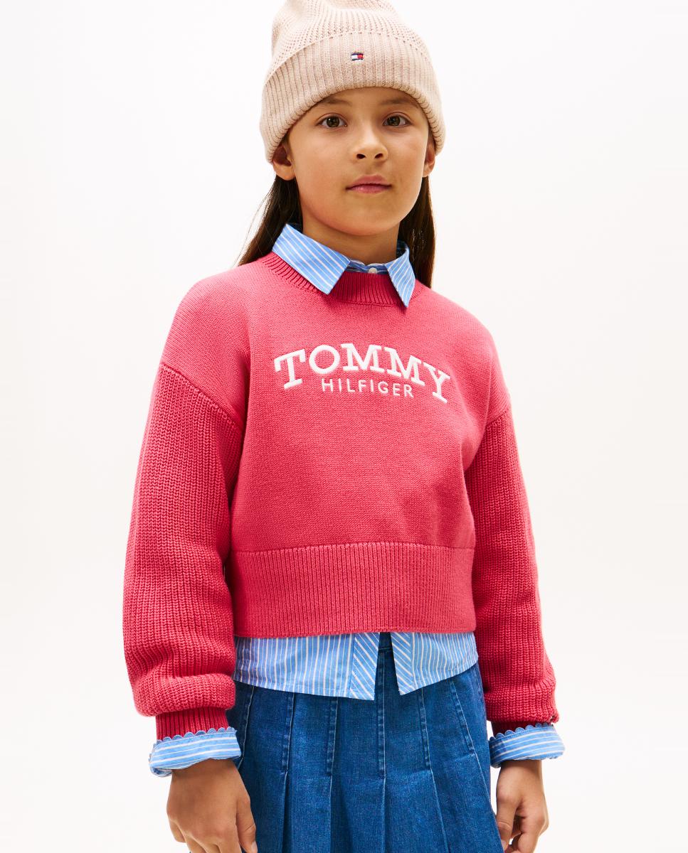 Imagem 0 de Camisola de Malha com Logótipo Bordado