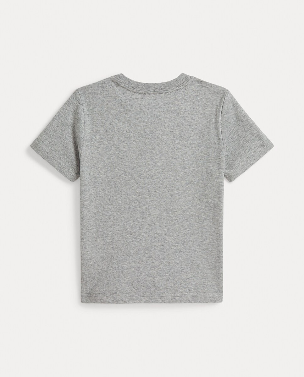 Camisola Malha Jersey Unissexo com Polo Bear Cinzento-5