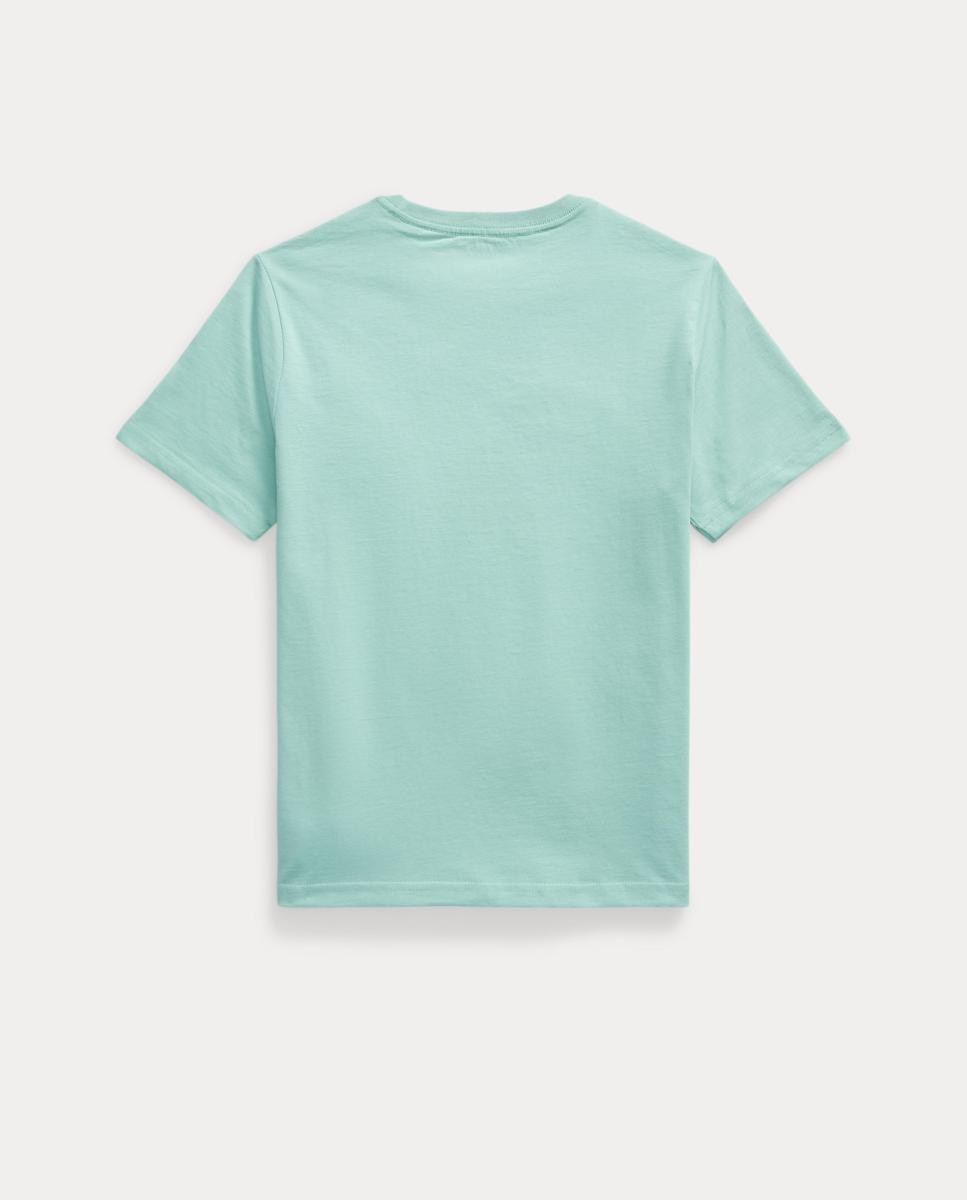 Camisola de Malha Jersey de Algodão Polo Ralph Lauren Verde Água-2