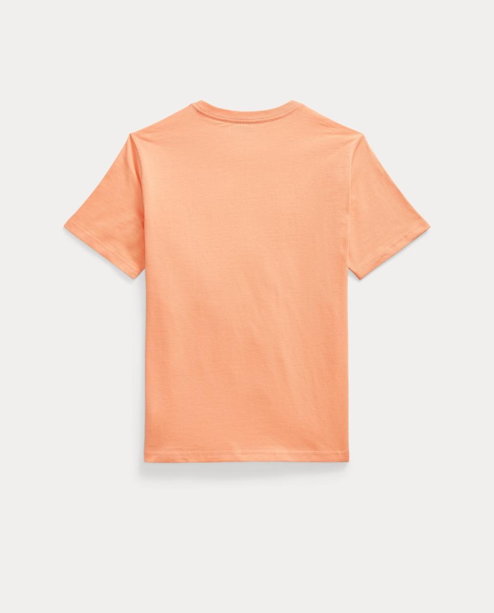 Camisola de Malha Jersey de Algodão Polo Ralph Lauren Laranja-2