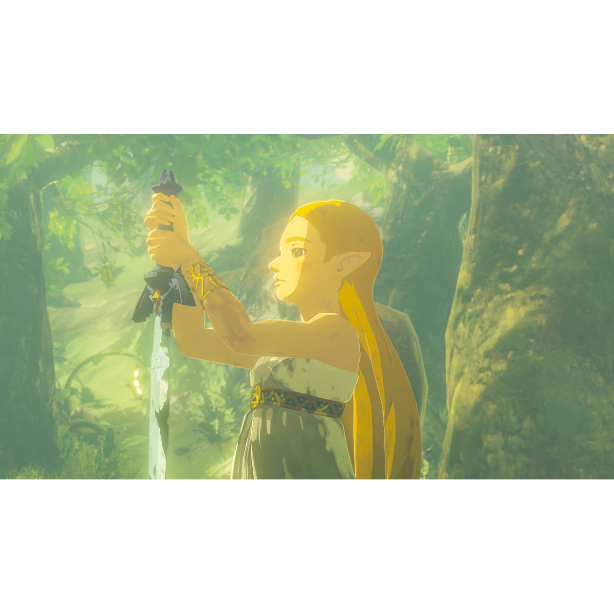 Zelda Breath of the Wild Nintendo Switch 2 6