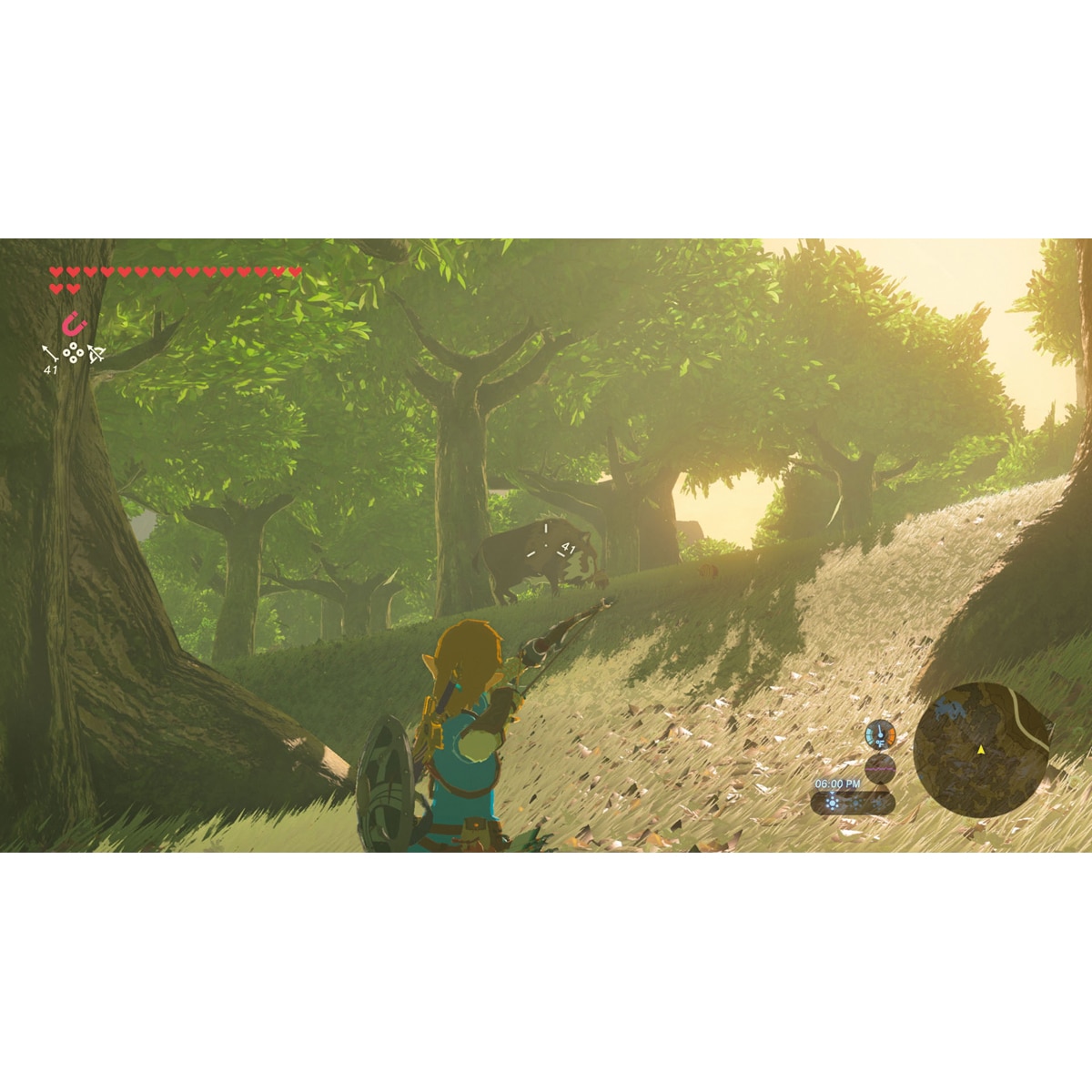 Zelda Breath of the Wild Nintendo Switch 2 7