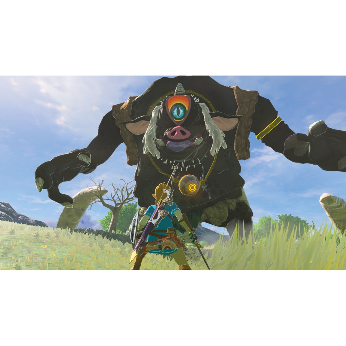 Zelda Breath of the Wild Nintendo Switch 2 8