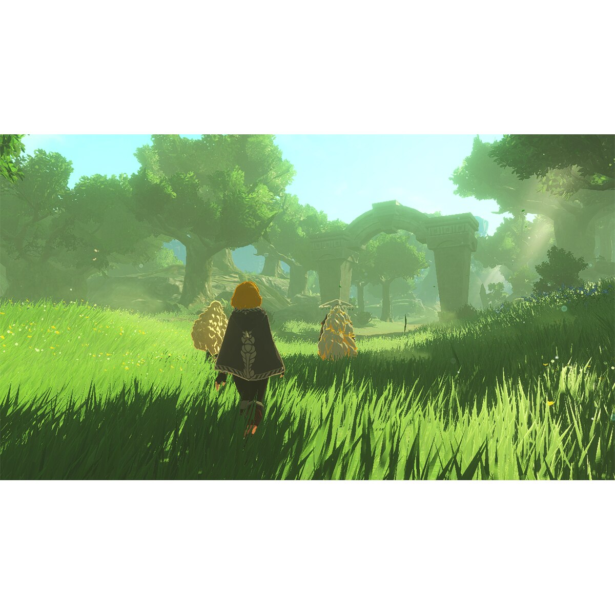 Hyrule Warriors: Age of Imprisonment Nintendo Switch 2 Edition 3