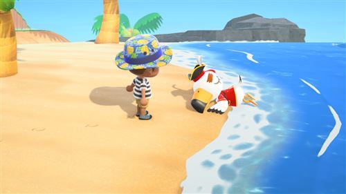Animal Crossing: New Horizons - Nintendo Switch 2 4