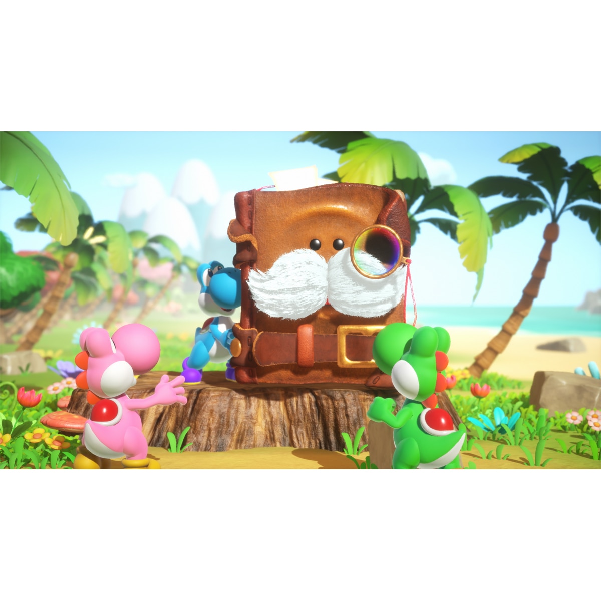 Yohsi and the Mysterious Book Nintendo Switch 2 3