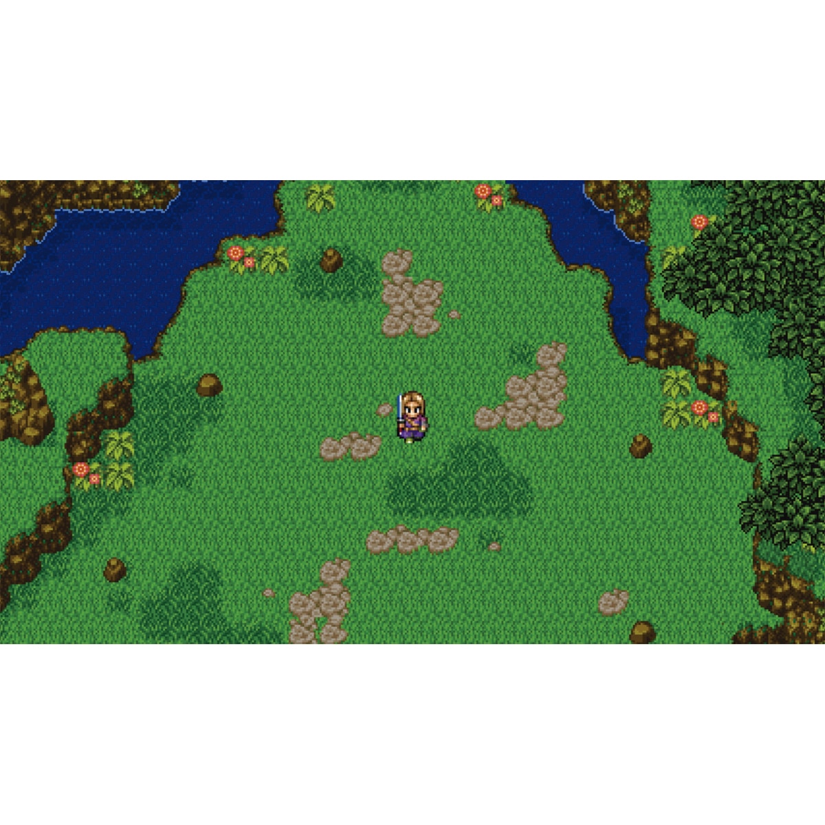 Dragon Quest XI: Ecos de un pasado perdido Edición Definitiva Nintendo Switch 2 4