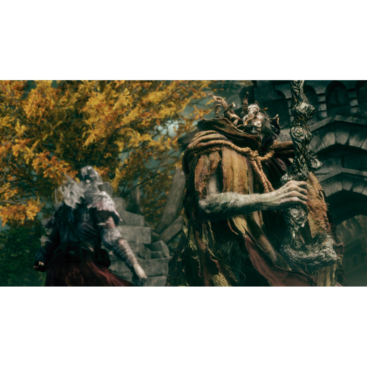 Elden Ring Tarnished Edition Nintendo Switch 2 3