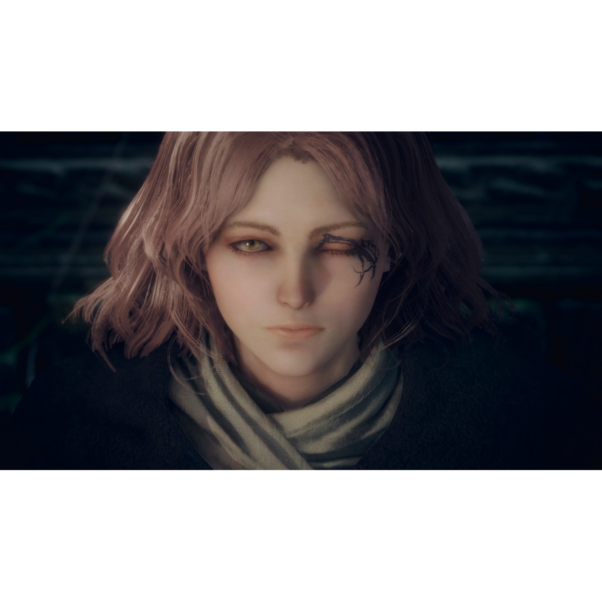 Elden Ring Tarnished Edition Nintendo Switch 2 4