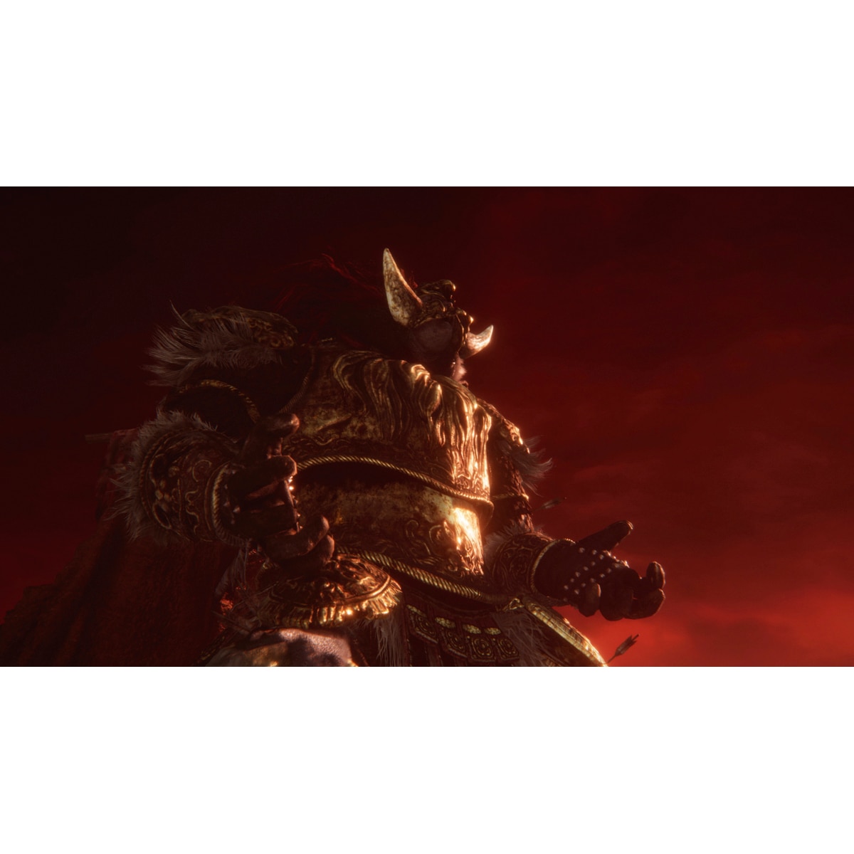 Elden Ring Tarnished Edition Nintendo Switch 2 6