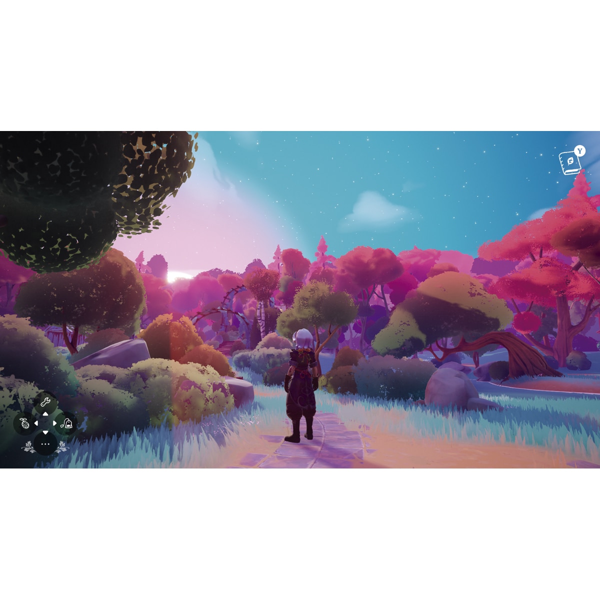 Wanderstop Nintendo Switch 2 6