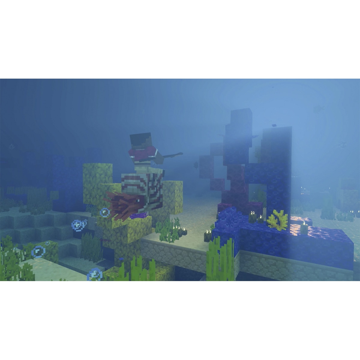Minecraft Nintendo Switch 2 3
