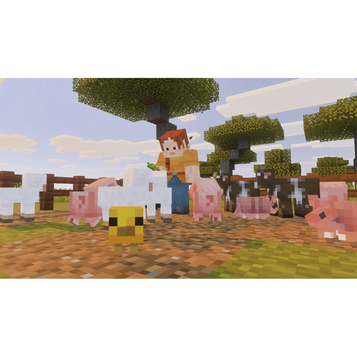 Minecraft Nintendo Switch 2 4