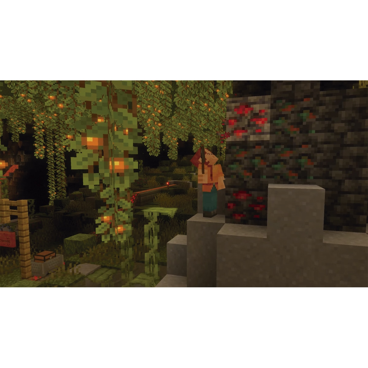 Minecraft Nintendo Switch 2 6
