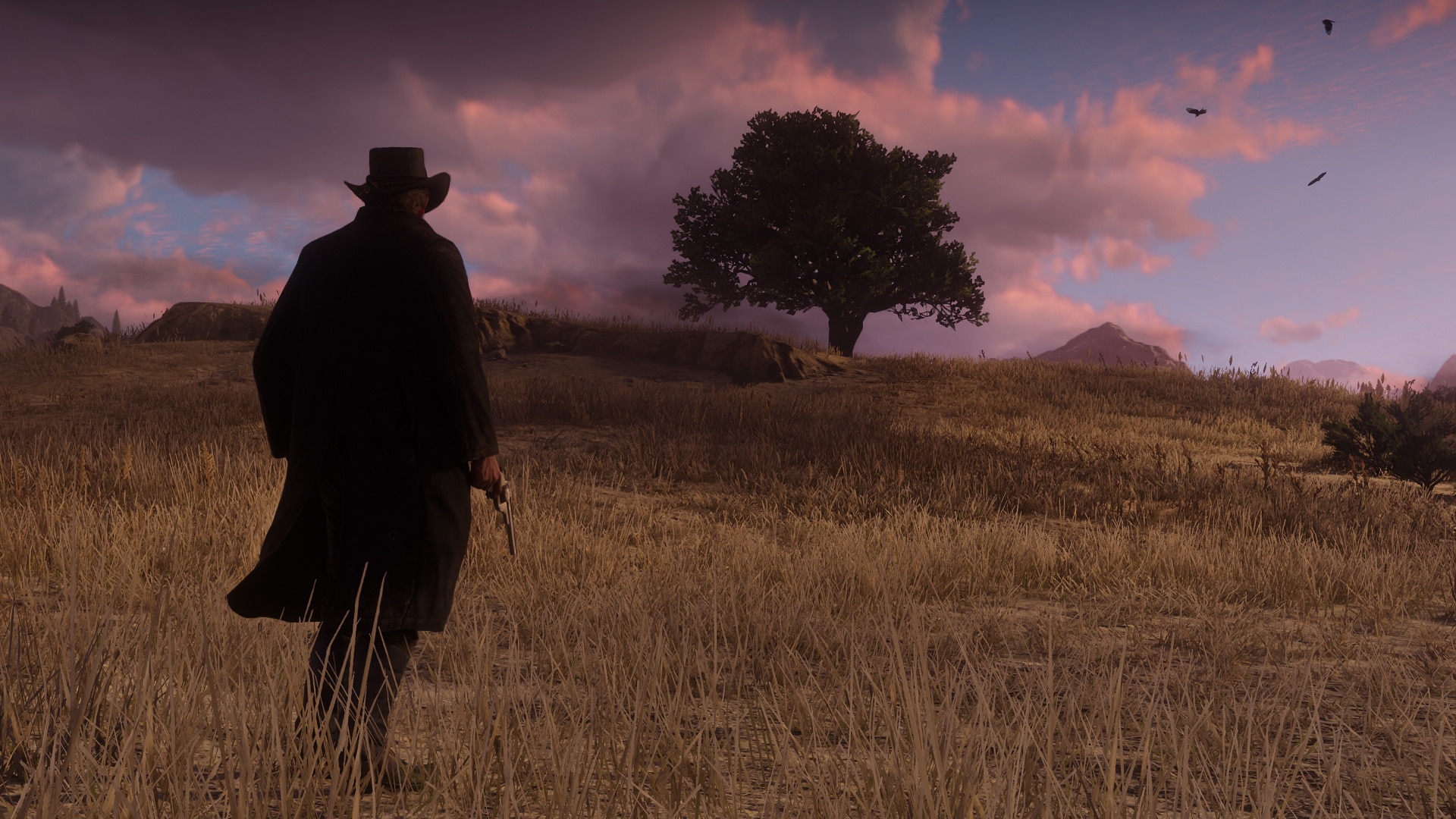 Red Dead Redemption 2 PS4 11