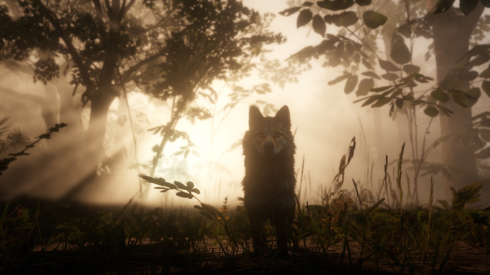 Red Dead Redemption 2 PS4 14