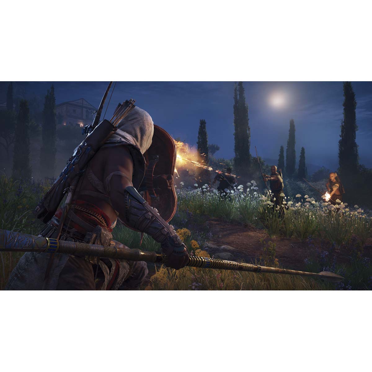 Assassin's Creed Origins PS4 13