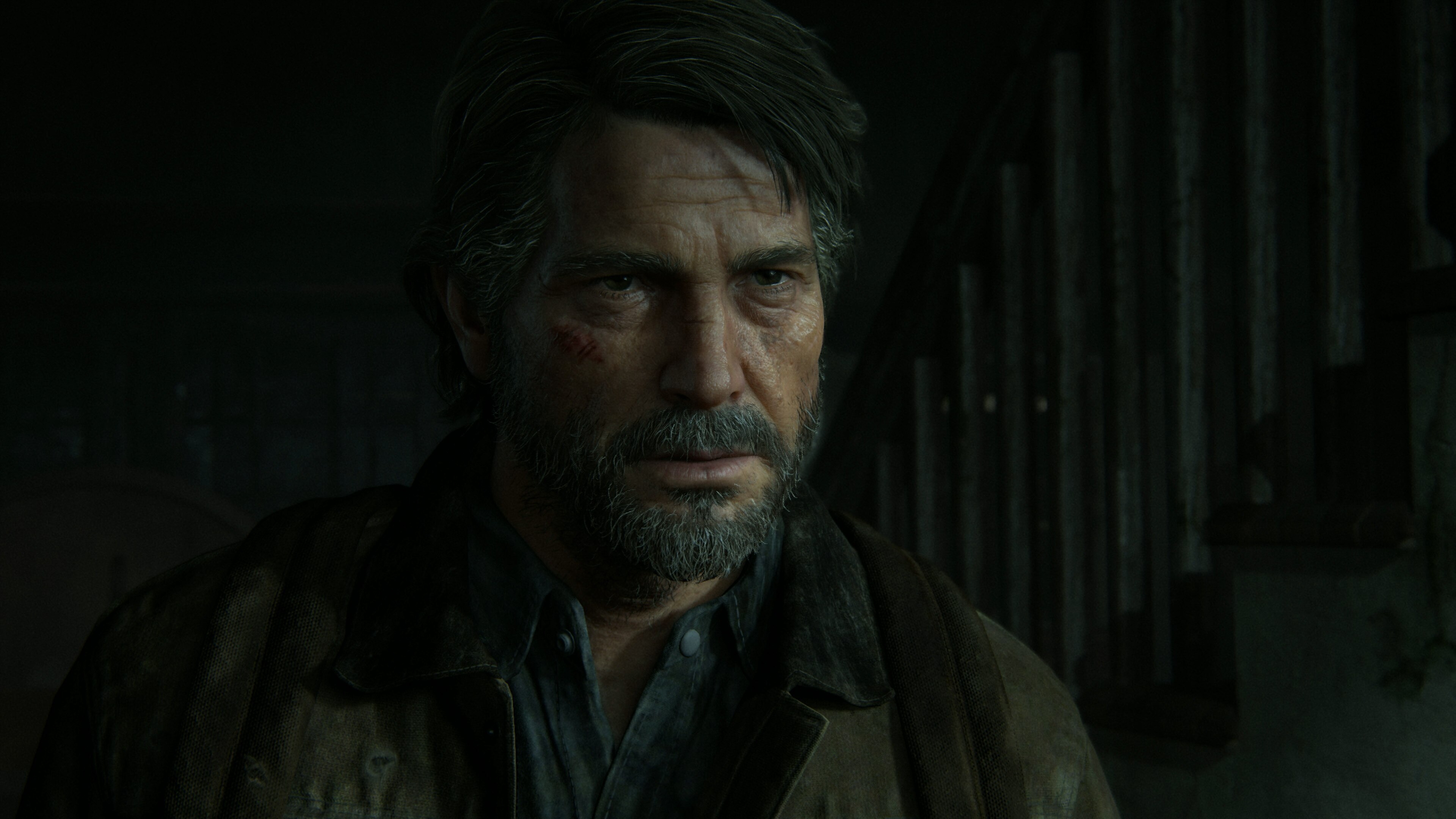 The Last of Us Parte II PS4 8