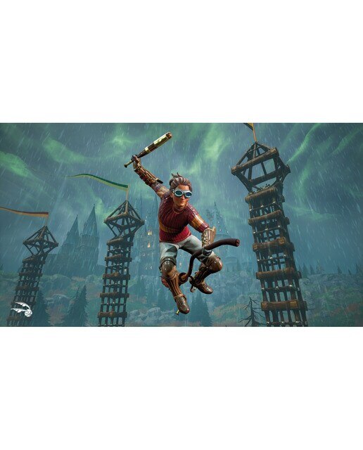 Harry Potter: Campeones de Quidditch Edición Deluxe PlayStation 4 3