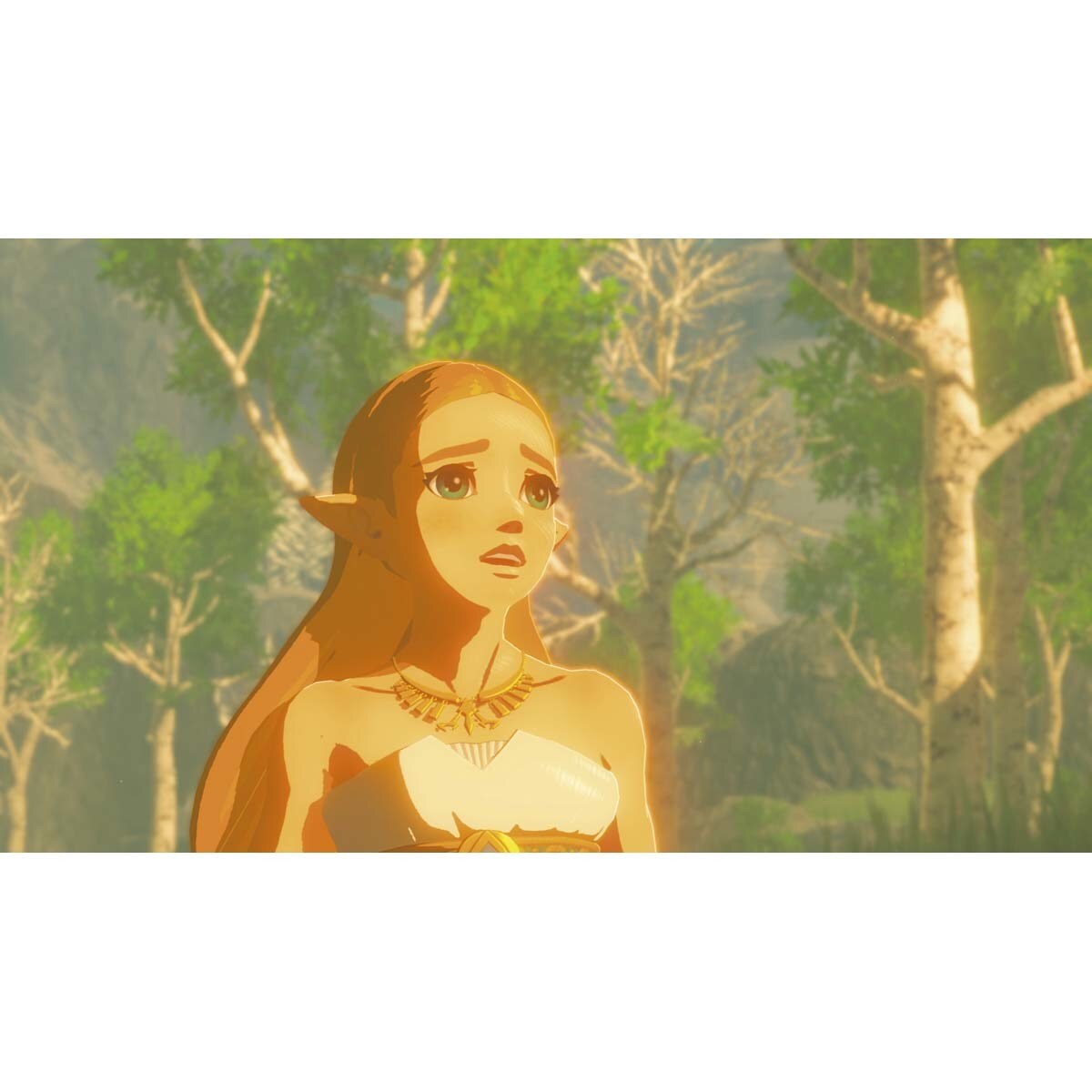 Legend Of Zelda: Breath Of The Wild Nintendo Switch 2