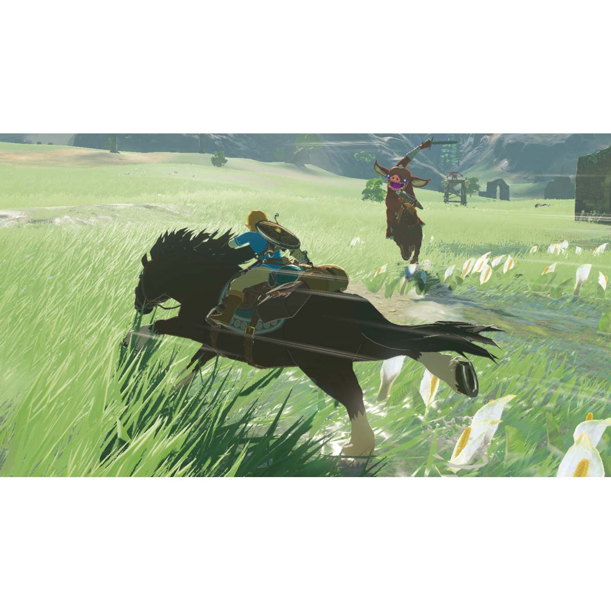 Legend Of Zelda: Breath Of The Wild Nintendo Switch 8