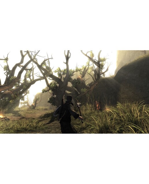 Risen Nintendo Switch 2