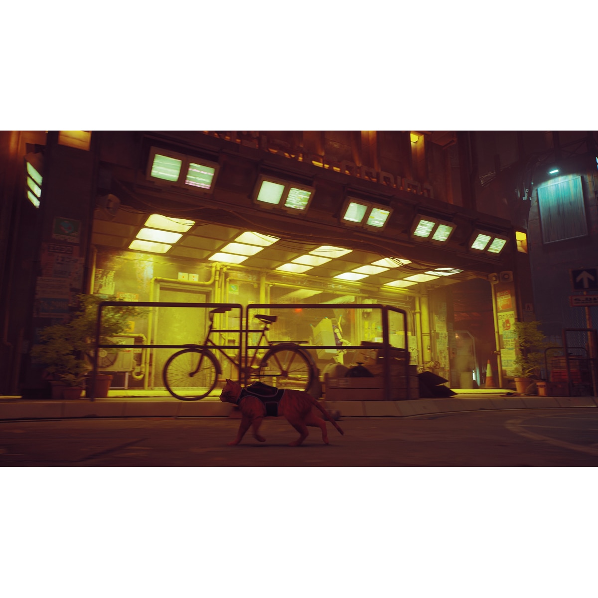 Stray - Nintendo Switch 2