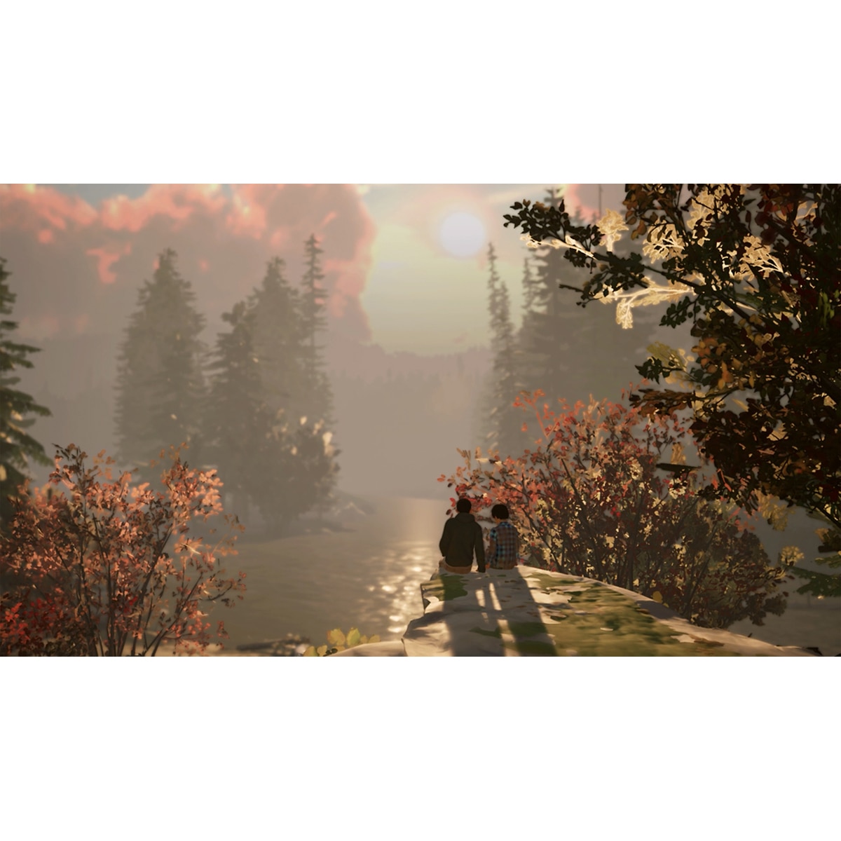 Life is Stange 2 (CIAB) Nintendo Switch 5