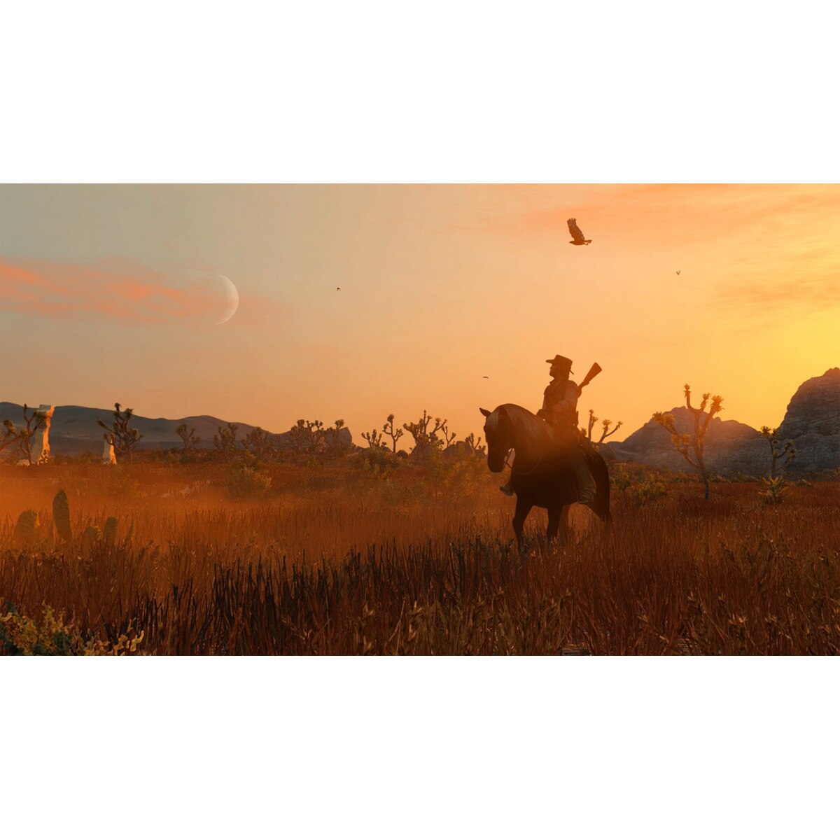 Red Dead Redemption CIAB Nintendo Switch 2