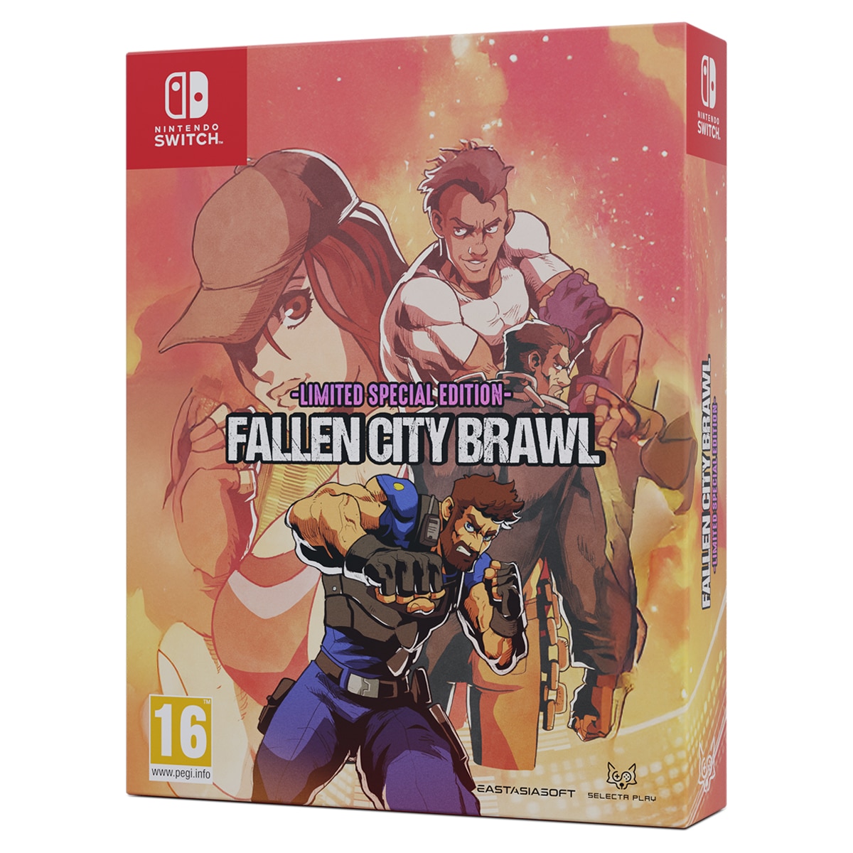 Imagen 0 de Fallen City Brawl Edición Especial Nintendo Switch