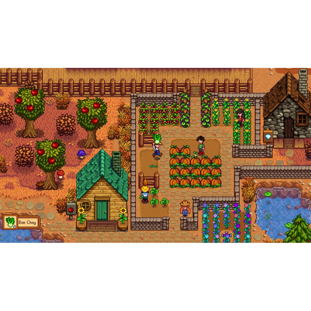 Stardew Valley Nintendo Switch 6