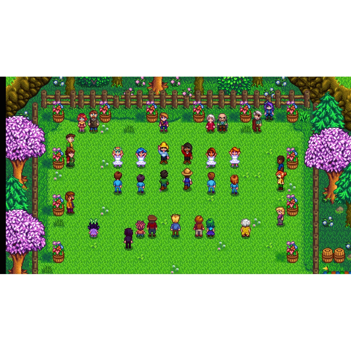 Stardew Valley Nintendo Switch 7